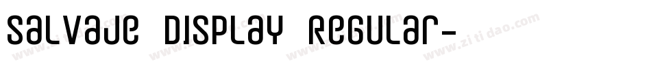 Salvaje Display Regular字体转换